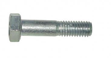 Болт М 8 х 30   21010-16043821